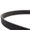 Serpentine Belt