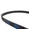 Serpentine Belt