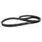 Serpentine Belt