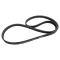 Serpentine Belt