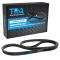 Serpentine Belt