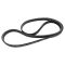 Serpentine Belt