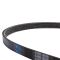 Serpentine Belt