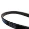 Serpentine Belt
