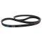 Serpentine Belt