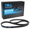 Serpentine Belt
