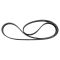 Serpentine Belt