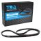 Serpentine Belt