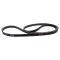 Serpentine Belt