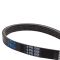 Serpentine Belt
