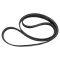 Serpentine Belt