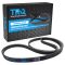 Serpentine Belt