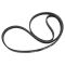 Serpentine Belt