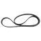 Serpentine Belt