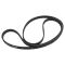 Serpentine Belt