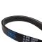 Serpentine Belt