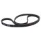 Serpentine Belt