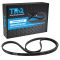Serpentine Belt