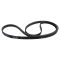 Serpentine Belt