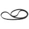 Serpentine Belt