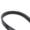 Serpentine Belt