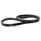 Serpentine Belt