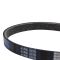 Serpentine Belt