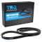 Serpentine Belt