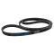 Serpentine Belt