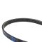 Serpentine Belt