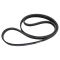 Serpentine Belt