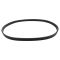 Serpentine Belt