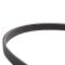 Serpentine Belt