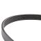 Serpentine Belt