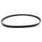 Serpentine Belt