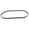 Serpentine Belt