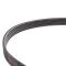 Serpentine Belt