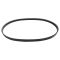 Serpentine Belt