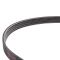 Serpentine Belt