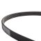 Serpentine Belt