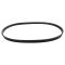 Serpentine Belt