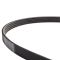 Serpentine Belt