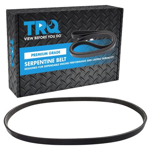 Serpentine Belt
