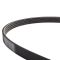 Serpentine Belt