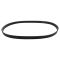 Serpentine Belt