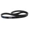 Serpentine Belt