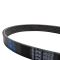 Serpentine Belt