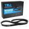 Serpentine Belt