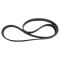 Serpentine Belt