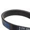 Serpentine Belt